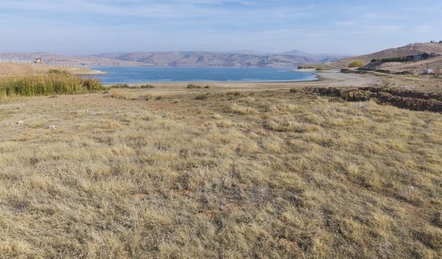 Kırıkkale Tarlalarında Kuraklık Etkisi Büyüyor