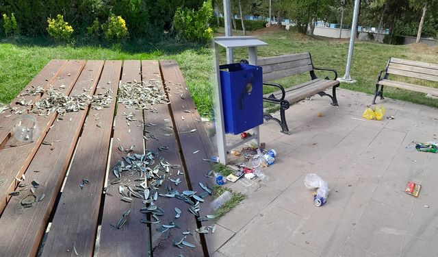 Parklarda Çöp Sorunu Yeniden Gündemde