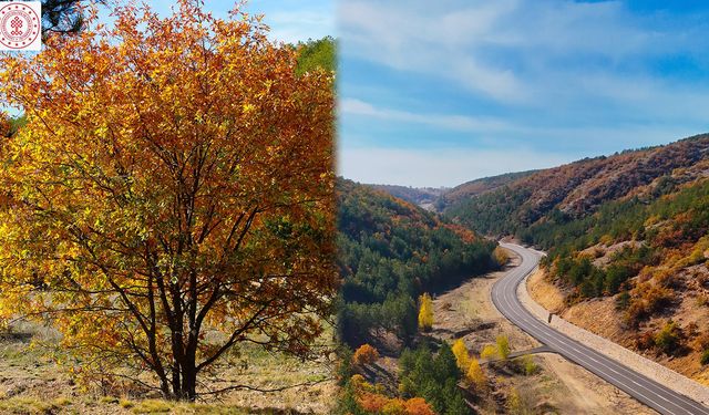 Sulakyurt Kayalıdere’de Sonbaharın Büyüsü