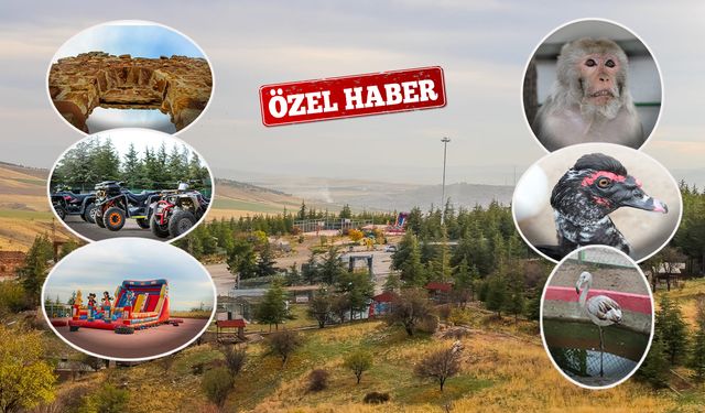 Doğayla İç İçe Bir Mola: Celal Altınışık Parkı