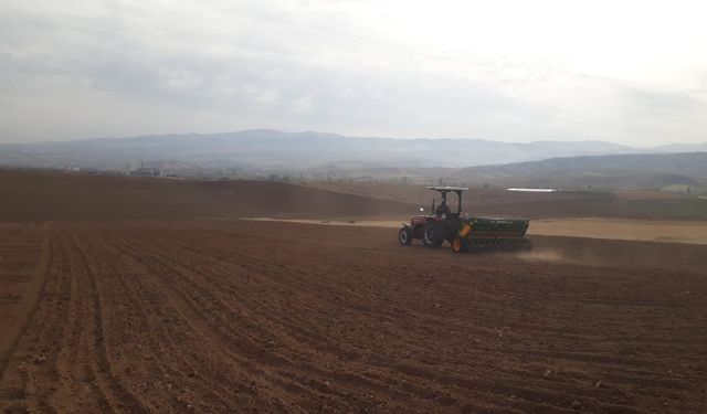 Kırıkkale’de Milli Tohumlar Toprakla Buluştu