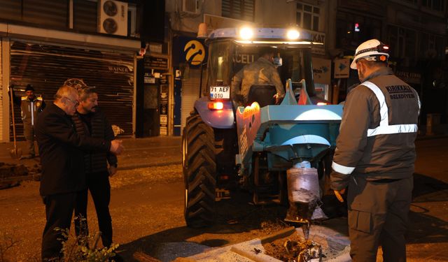 Kırıkkale’de Zafer Caddesi Akçaağaçlarla Yeşilleniyor