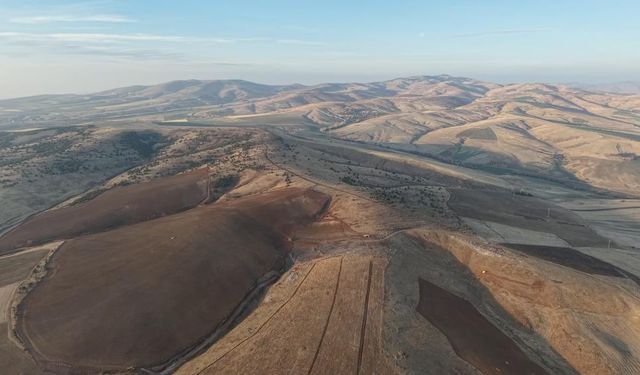Keskin’de Ağaç Kıyımı Tepki Çekti: “40 Yıl Boşa Gitti”