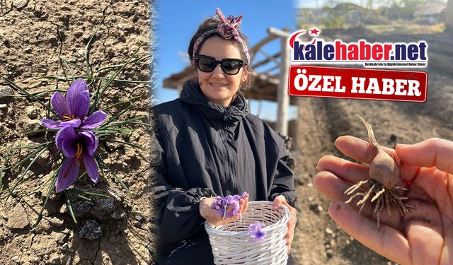 Merve Lüy’den Kırıkkale’ye Yeni Tarım Modeli