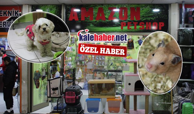 Amazon Pet Shop Kırıkkale’de Fark Yaratıyor