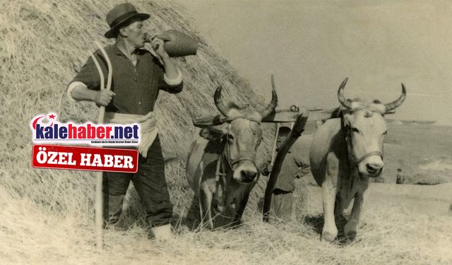 Kartpostalları Aratmayan Kırıkkale Fotoğrafı