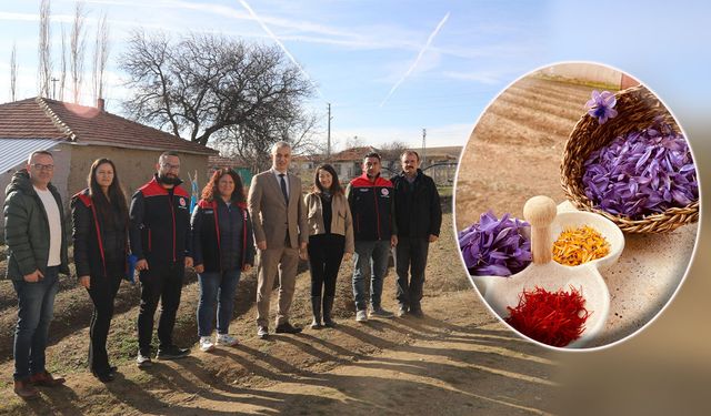 Safran Kokulu Hayaller Projesi Sahada Meyve Verdi