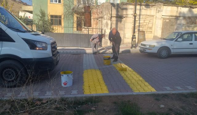 Hasandede Köyünde Hız Kesici Kasisler Boyandı