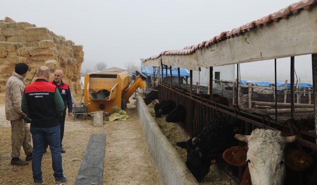 Ahılı’da Hayvancılığa Destek: Kırsalda Bereket Projesi Sürüyor