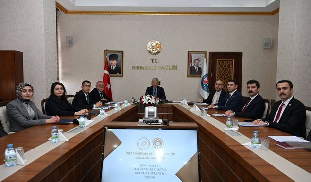 Sahipsiz Hayvanlar İçin Kırıkkale’de Önemli Toplantı