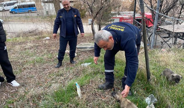 loğara düşen köpek yavrusu kurtarıldı.