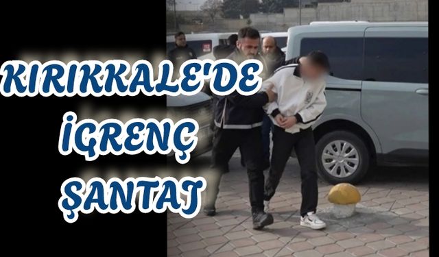 Kırıkkalede  mide bulandıran olay