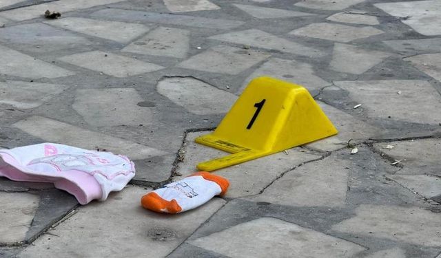 Sinir Krizi Geçiren Anne,Bebeğini Pencereden Attı