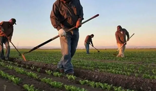 Kırıkkale’de ÇKS Başvuruları İçin Geri Sayım