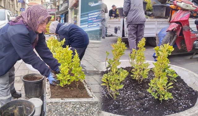 Kırıkkale’de Çay Ocakları Bölgesi Yeşillendi