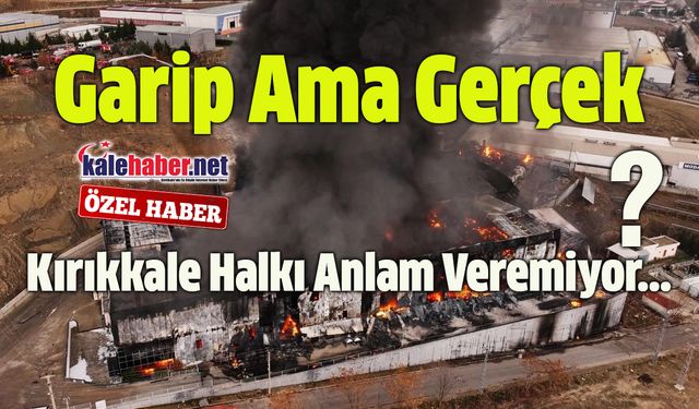 Fabrika Kül Oldu, Hissesi Arttı