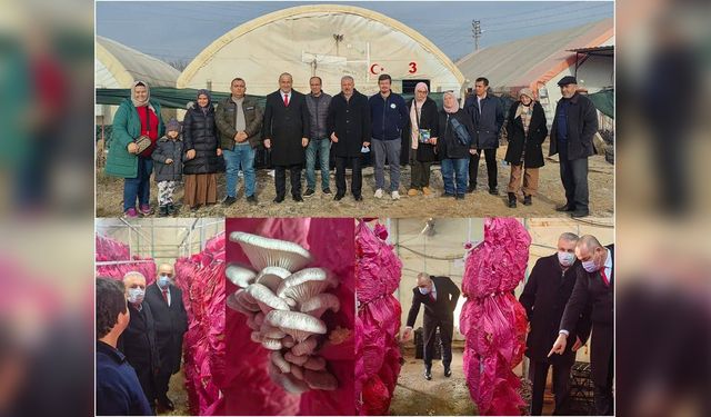 Mantarcılık Kursunda Teori ve Uygulama Buluştu