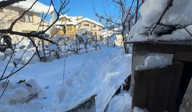 80 Yaşındaki Kadın Donmuş Halde Ölü Bulundu