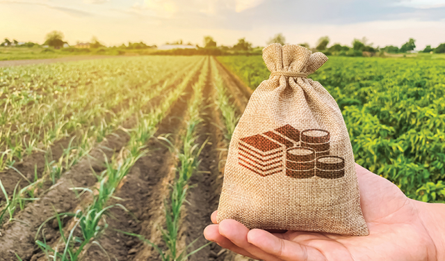 Kırsal Kalkınma Desteklerinde Yeni Dönem Başladı