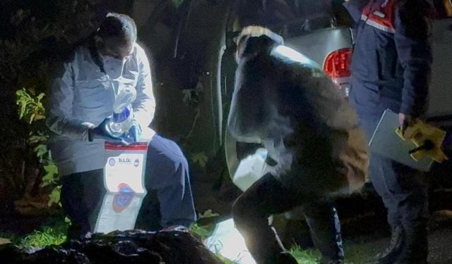 Araç İçinde Yanmış Beden Bulundu