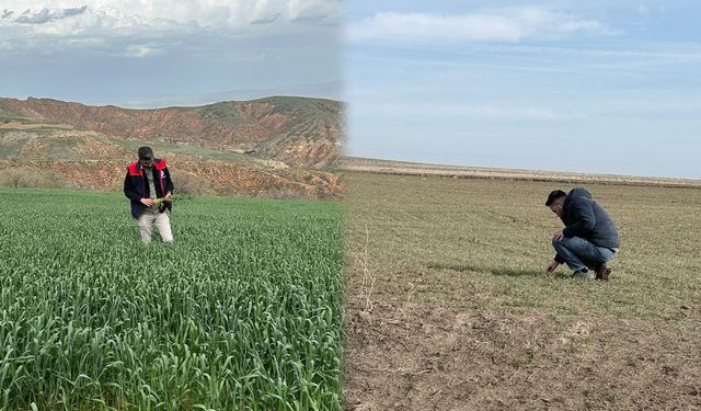 Kırıkkale’de Arazi Ürün Beyan Kontrolleri Sürüyor