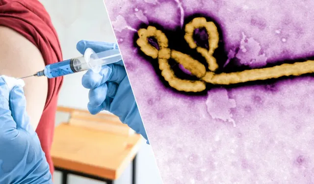 DSÖ’den Ebola uyarısı: "Aşı için 9 ay gerekebilir"