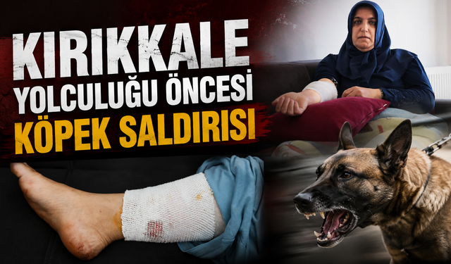 Kırıkkale Yolculuğu Öncesi Köpek Saldırısı