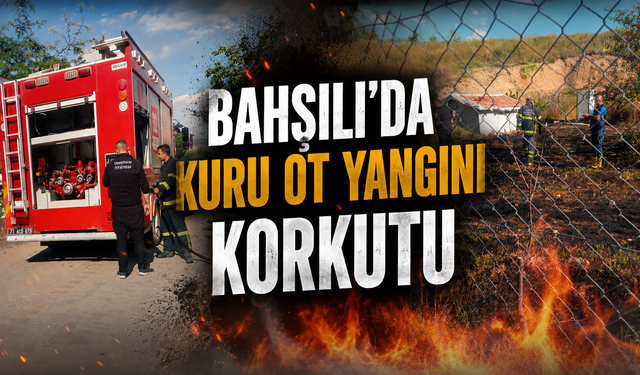 Bahşılı'da Kuru Ot Yangını Korkuttu
