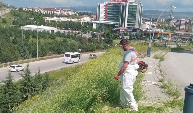 Bayraktepe ve Erenler’de Ot Biçme Mesaisi Sürüyor