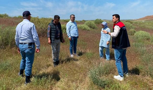 Delice’de Mera Islah Projesi Yerinde İncelendi