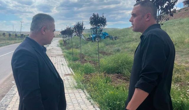 Sulakyurt’ta Ağaçlandırma Çalışmaları Sürüyor