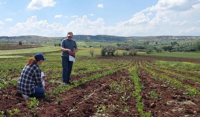 Tarım Müdürlüğü Üreticiyi Yalnız Bırakmıyor