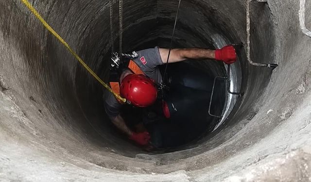 Kuyuya Düşen Kedinin İmdadına İtfaiye Yetişti