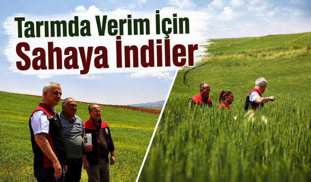 Kırıkkale’de Buğday Deneme Alanları İncelendi