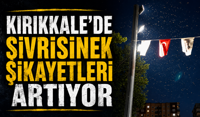 Kırıkkale'de Sivrisinek Şikayetleri Artıyor