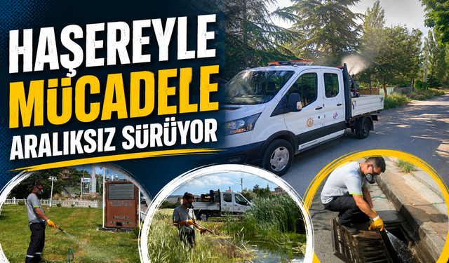 Kırıkkale Belediyesi Yaz Boyunca Haşerelere Karşı Sahada