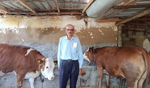İş Kur Projesi ile yola çıktı.Şimdi giderek büyüyor