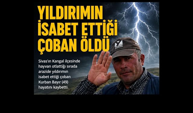 Yıldırım çobanın canını aldı
