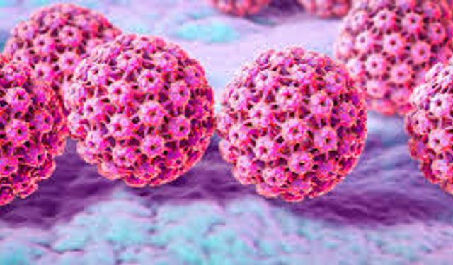 "HPV'ye Karşı Korunmada Aşı ve Tarama Önemli"