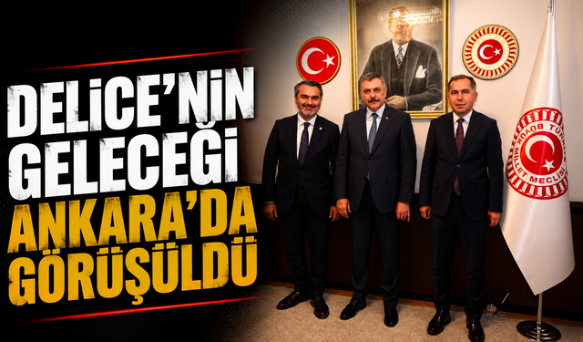 Delice'nin Geleceği Ankara'da Görüşüldü