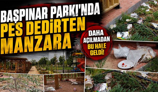 Başpınar Parkı'nda Pes Dedirten Manzara