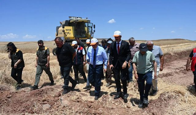 Çerikli'de Hasat Mesaisi: Üreticilere Destek Ziyareti