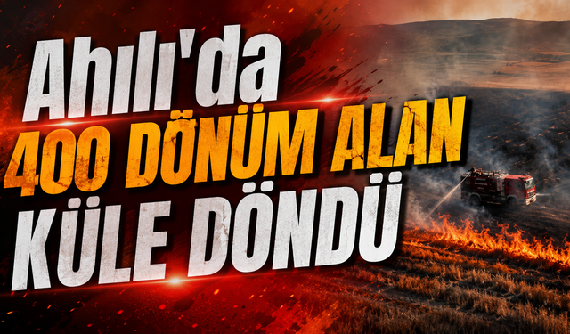 Ahılı'da 400 Dönüm Alan Küle Döndü
