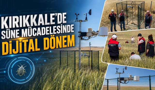 Kırıkkale’de Süne Mücadelesinde Dijital Dönem