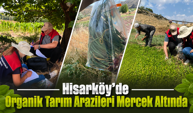 Hisarköy’de Organik Tarım Arazileri Mercek Altında
