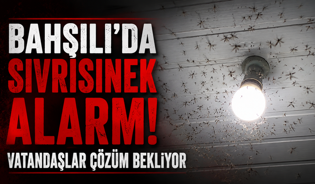 Bahşılı’da Sivrisinek Alarmı