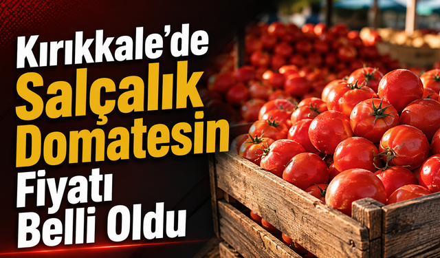 Kırıkkale’de Salçalık Domatesin Fiyatı Belli Oldu