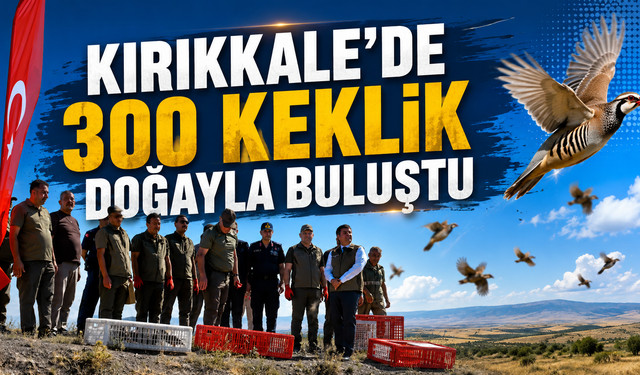 Kırıkkale’de 300 Keklik Doğayla Buluştu