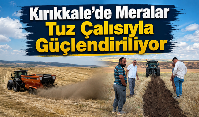 Kırıkkale’de Meralar Tuz Çalısıyla Güçlendiriliyor