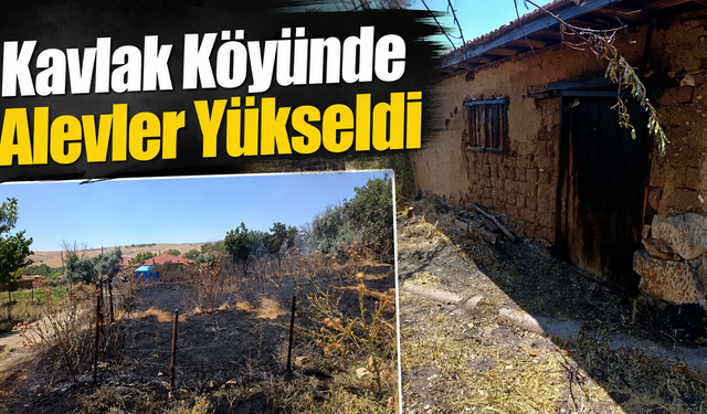 Kavlak Köyünde Alevler Yükseldi